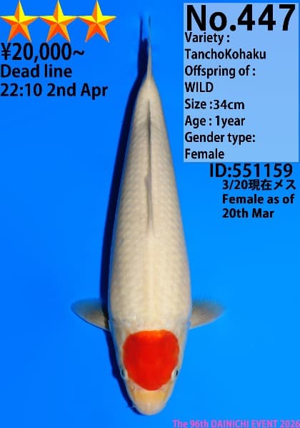 Dainichi Tancho 3 stars